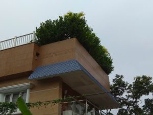 Special Waterproofing for Roof gardening at Kasba