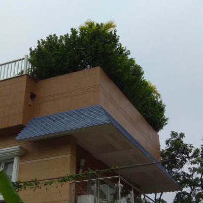 Special Waterproofing for Roof gardening at Kasba