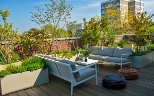 rooftop garden for heatproofing in kolkata